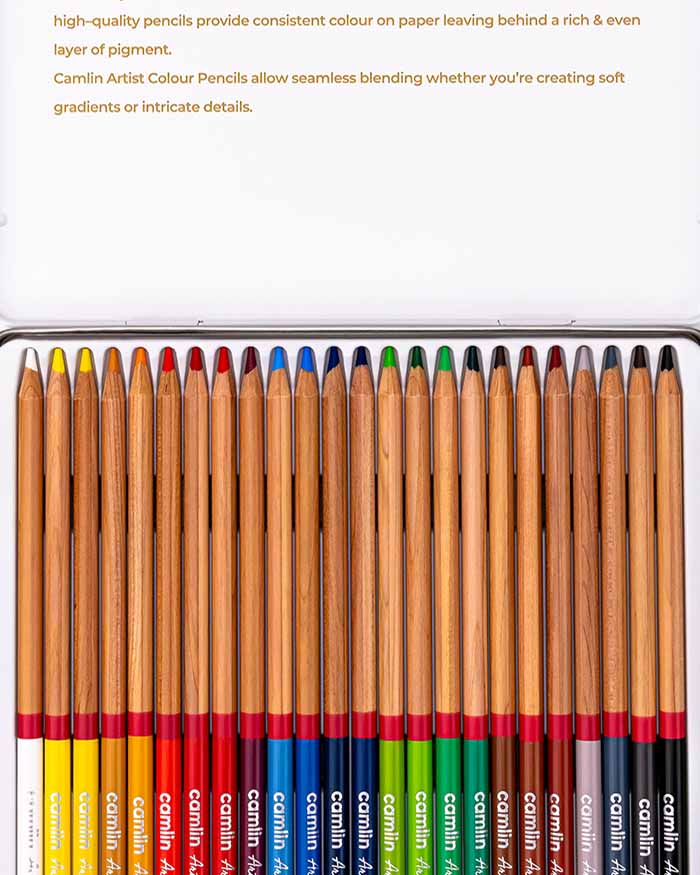 Camlin Artist Colour Pencils Assorted pack of 24 shades