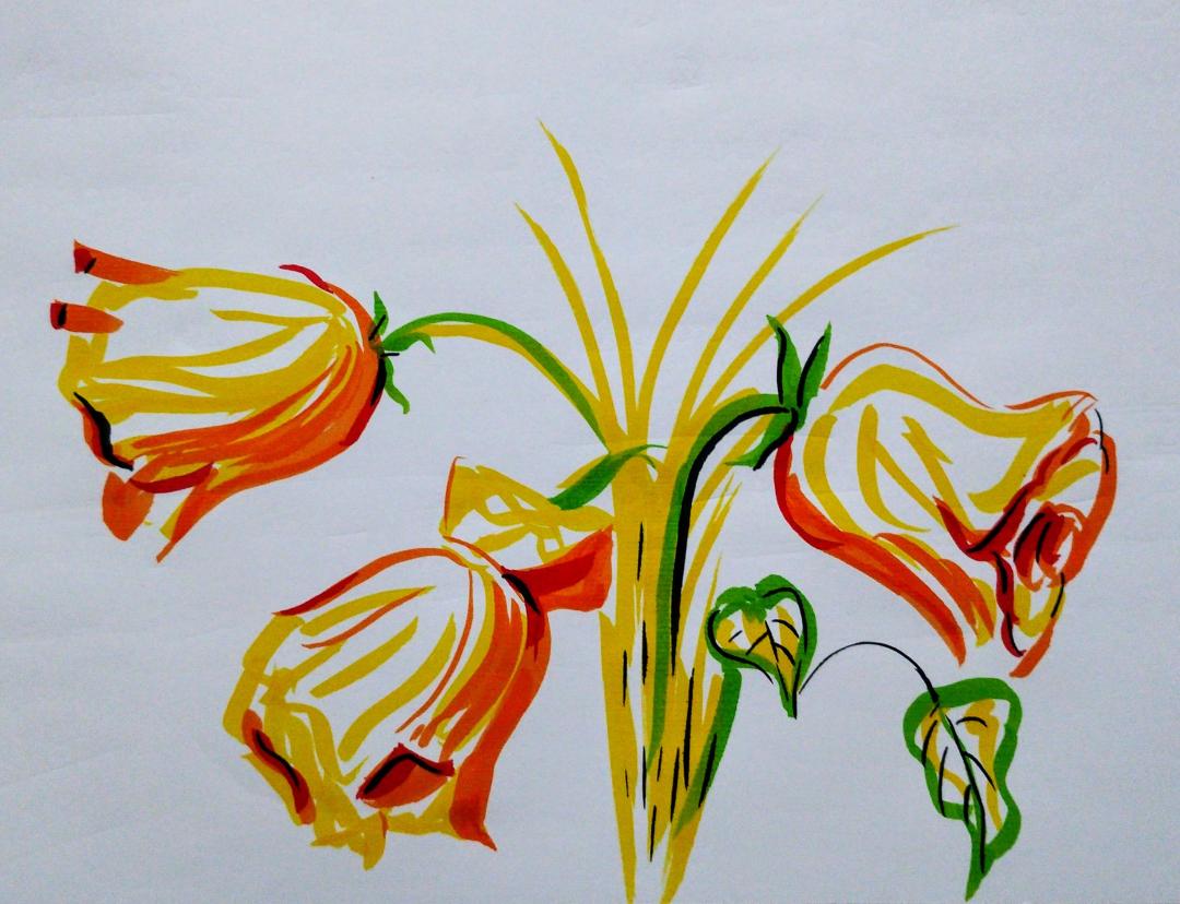 Office Petals Camlin Kokuyo Oil Pastel Crayons